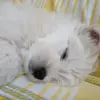 danielaaltamura82 - @danielaaltamura82 - TikTok