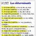 Daniela Altidor - Facebook