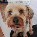 Daniela Alexandra Ardelean - @alexandra.recean.5 - Instagram