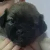 daniela ardelean - @danielaardelean1 - TikTok