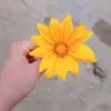 danielaarmas109 - @danielaarmas109 - TikTok