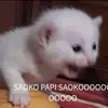 Valentina jaja 13 - @danielaasaro55 - TikTok