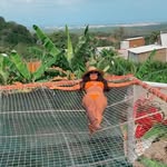 Daniela Atencio - @danielaatencio41 - Instagram