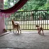 Daniela Atencio - @daniela.atencio22 - TikTok