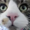 Daniella Atencio - @daniella.atencio - TikTok
