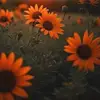 Daniela Aviles - @daniela.aviles64 - TikTok