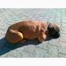 Daniela Backer - Facebook