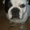 La Barbera Daniela - @labarberadaniela - TikTok
