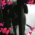Daniela Barletta - @barletta503 - Instagram