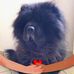 Daniela Barletta - Facebook