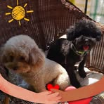 Daniela Barone - Facebook
