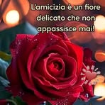 Daniela Barone - Facebook