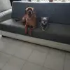 Daniela - @daniela.barone - TikTok