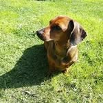 Daniela Cavalieri - @danielacavalieri63 - Instagram