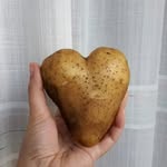 Daniela Cavallaro - @spizzuliannu - Instagram