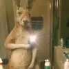 Daniel chalbaud - @daniel_chalbaud - TikTok