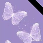 Daniela Chan - Facebook