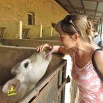 Daniela Chapman - Facebook