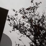 Đ - @_danielacharles - Instagram