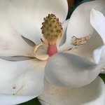 Cîrstea Daniela - @danielacirstea238 - Instagram