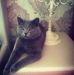 Daniela Cirstea - Facebook