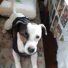 Daniela cirstea - @danielacirstea8 - TikTok
