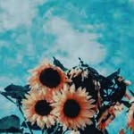 Ciubuc Daniela - @daniela.ciubuc03 - Instagram