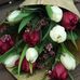 Daniela Ciubuc - Facebook