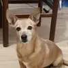 Daniela - @danielacollina2 - TikTok