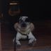 Daniela Concas - Facebook
