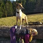 Daniela Cook - Facebook