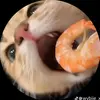 Daniela Corrales - @daniela123_199 - TikTok