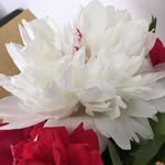 Daniela Costea - @dnl_costea - Instagram