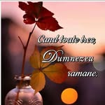 Daniela Costea-Irimuș - @daniela.costea.908 - Instagram