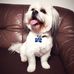 Daniela Crisan - Facebook