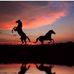 Daniela Crisan - Facebook