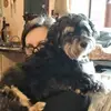 danielacroci3 - @danielacroci3 - TikTok