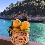Daniela Dale - @italiancookingclassy - Instagram