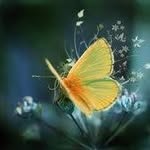 Daniela Damian - @daniela.damian.188 - Instagram