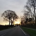 Daniela Davidson - @danieladavidson7238 - Instagram