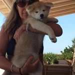 Daniela D'Elia - @daniela_amabile - Instagram