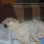 Daniela Delia - Facebook