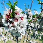 Daniela De Vito - @danieladevitobeauty - Instagram