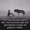 Daniela Doncel - @daniela.doncel3 - TikTok