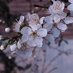 Daniela Dragomir Dragut - @dragut.daniela.5 - Instagram