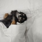 Daniela Duncan - Facebook