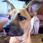 Daniela Dunnells - Facebook
