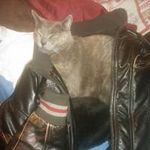 Daniela Fedele - @fedele1957 - Instagram