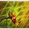 Daniella Fedele - @fedele92 - TikTok