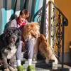 daniela ferrero - @daniela.ferrero40 - TikTok